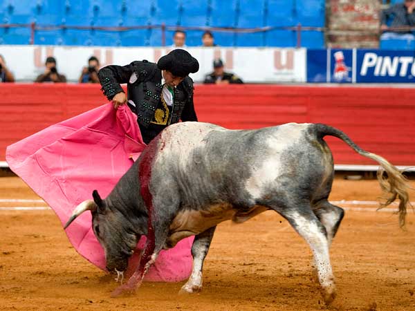 Quite por chicuelinas