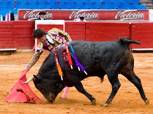 Bajando la muleta