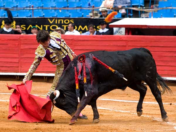 Templando la embestida