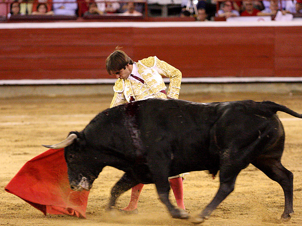 Un toro que no humillaba