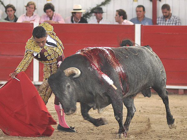 Embest�a con fuerza