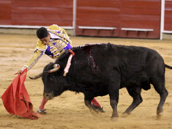Un toro sin entrega