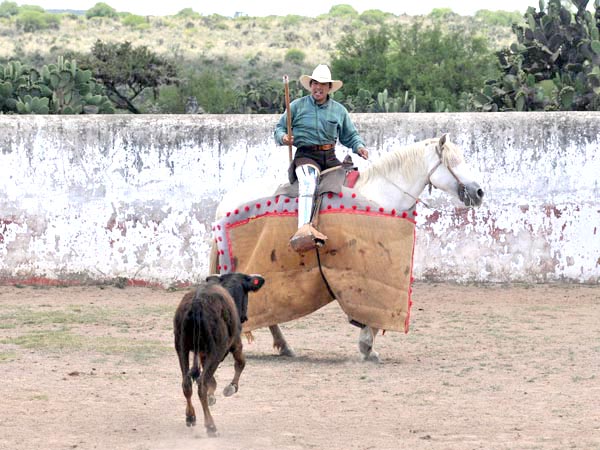 Arranc�ndose de largo al caballo