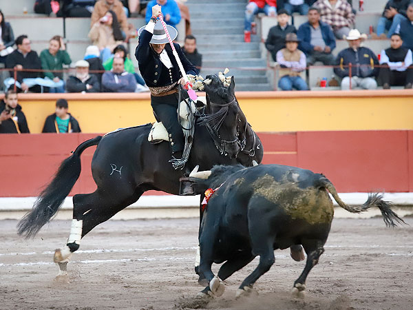 Rejoneador de dinast�a