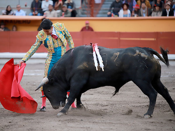 Tauromaquia zapatista