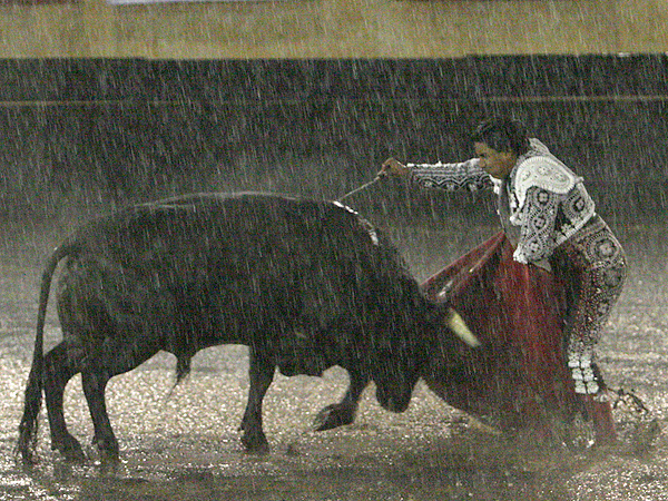 Aut�ntico volapi�