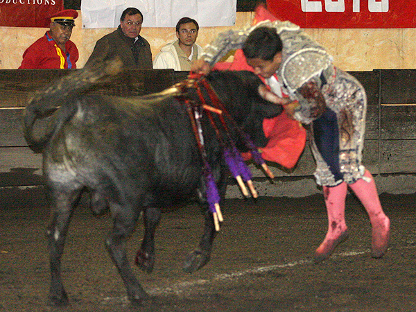 Se volc� sobre el morrillo