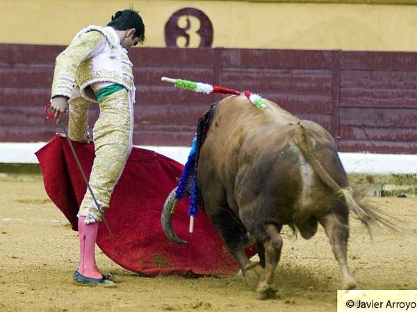 Soberbio trazo natural