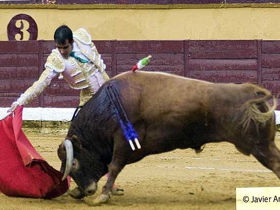 Lo lleva bien toreado