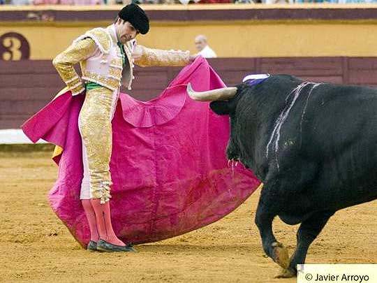 Quieto para la gaonera