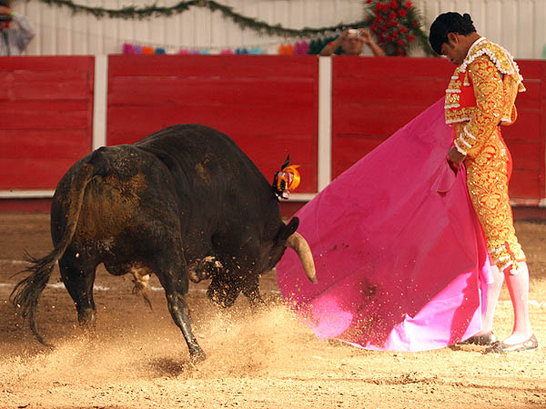La cadencia de Ignacio Garibay