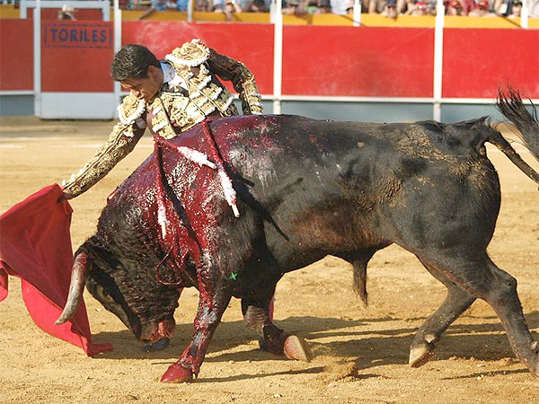 Un redondo a su segundo toro