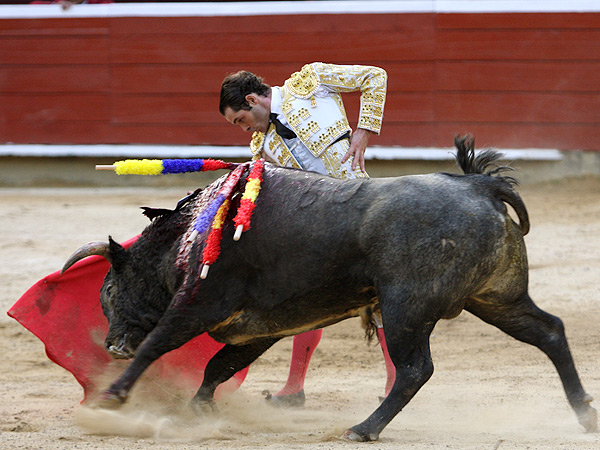 Un redondo en el tercio