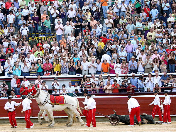 Vuelta al ruedo para 