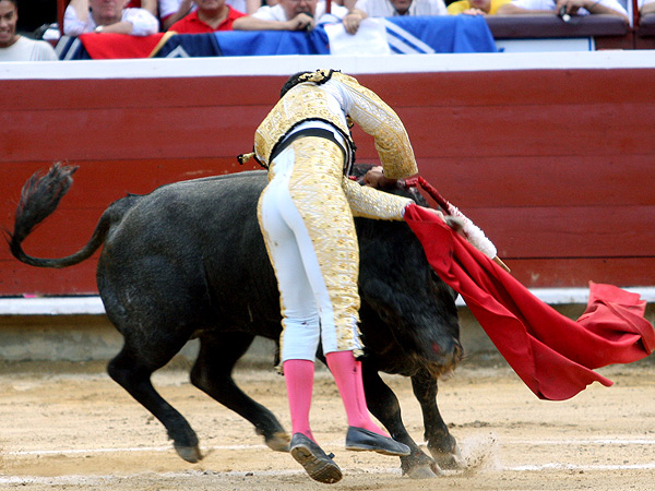 Se acost en la estocada
