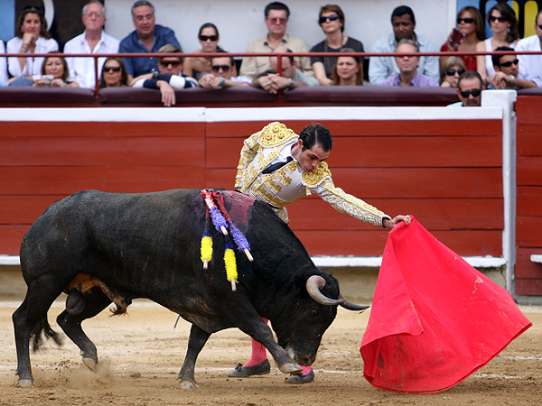 Largueza en el natural
