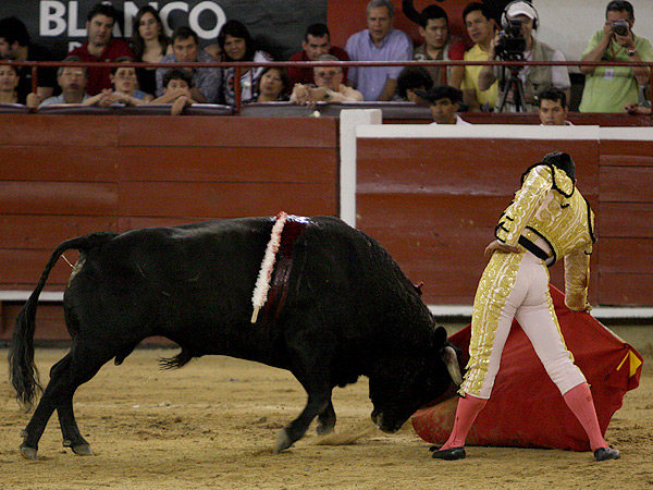 Embebido en la muleta