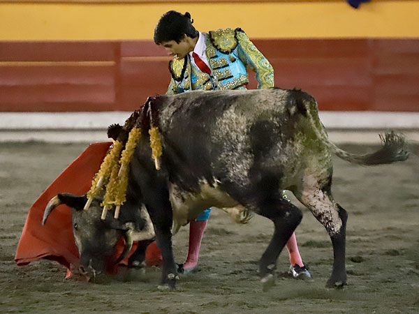 Apuntando el toreo bueno