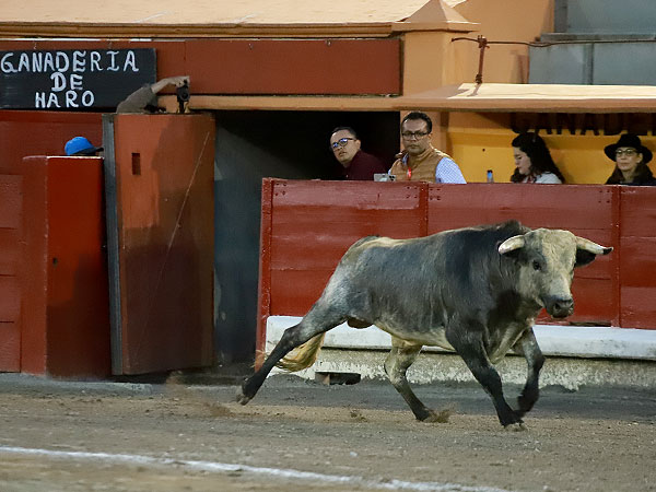 Los C�rdenos de Antonio De Haro