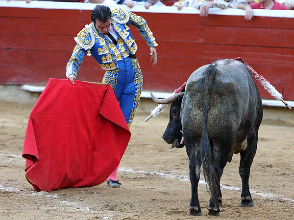 Ech�ndole tipo al cite