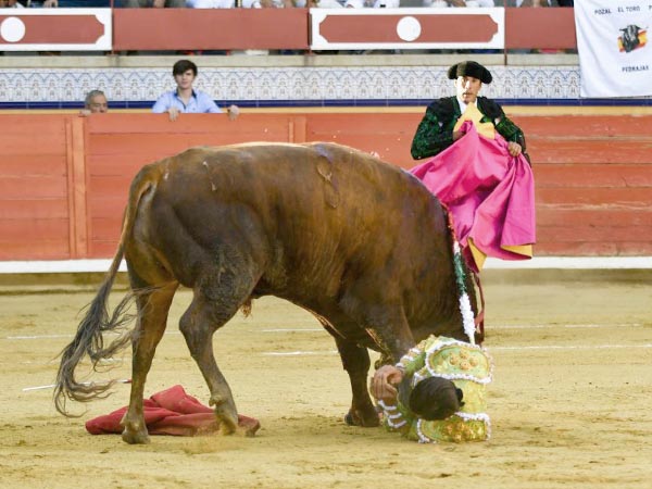 El toro hizo por �l