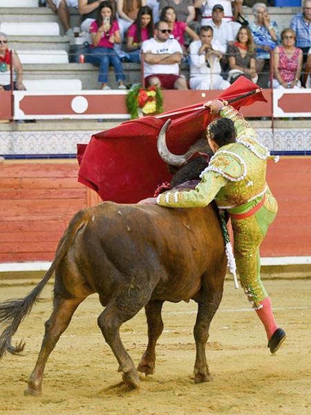 Enganchado de la corva