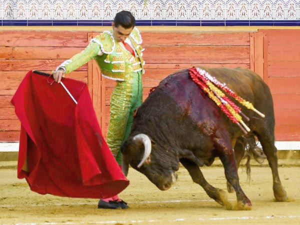 Valiente verticalidad