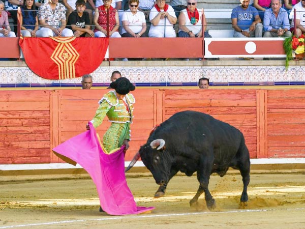 Bruno, a la ver�nica