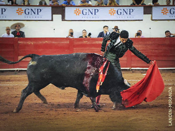 En torero y solvente, con el sexto