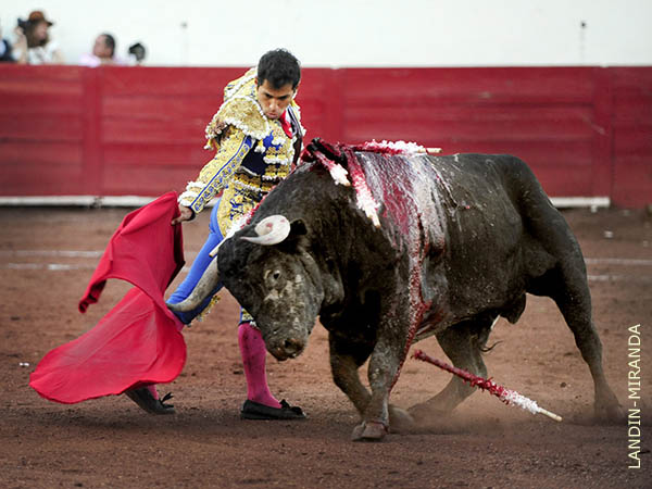 Tandas importantes por el derecho