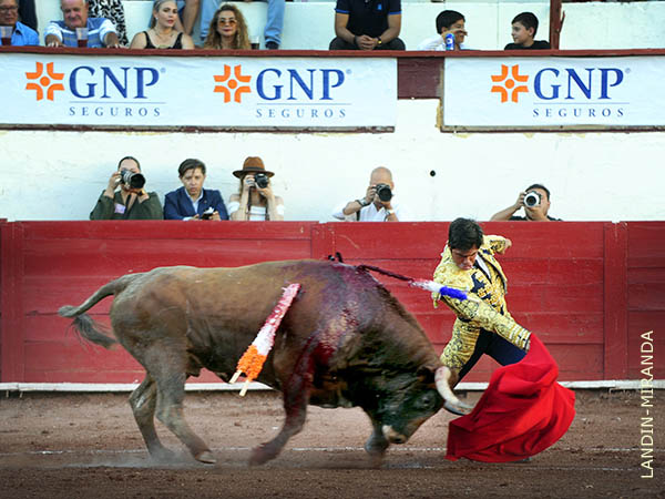 Enrazado, por lo bajo