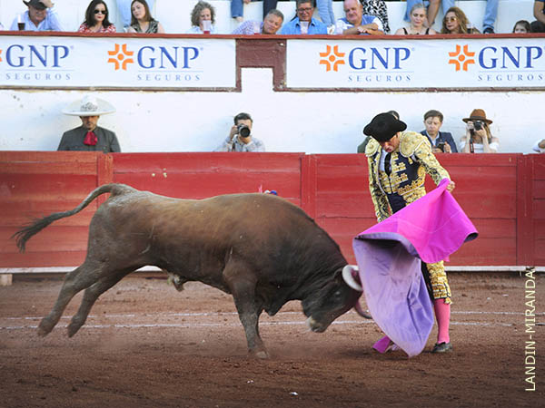 Las ver�nicas del potosino