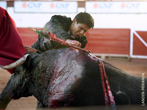 Estocada hasta la empu�adura