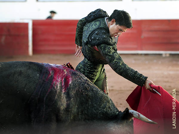 Constancia de buenas maneras