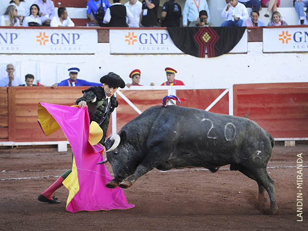 Jos� Mar�a, torero de casa