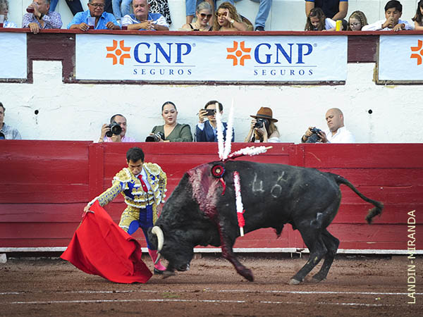 Sometiendo al c�rdeno