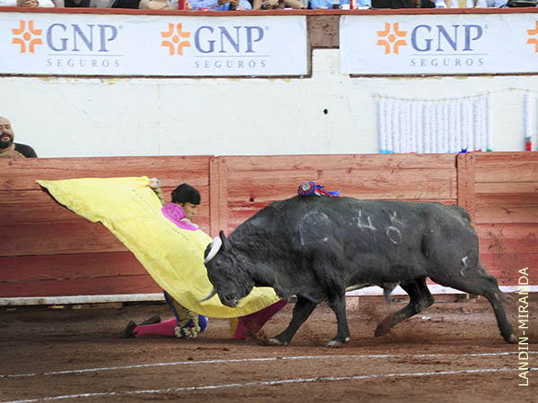 Francisco se present� en AGS