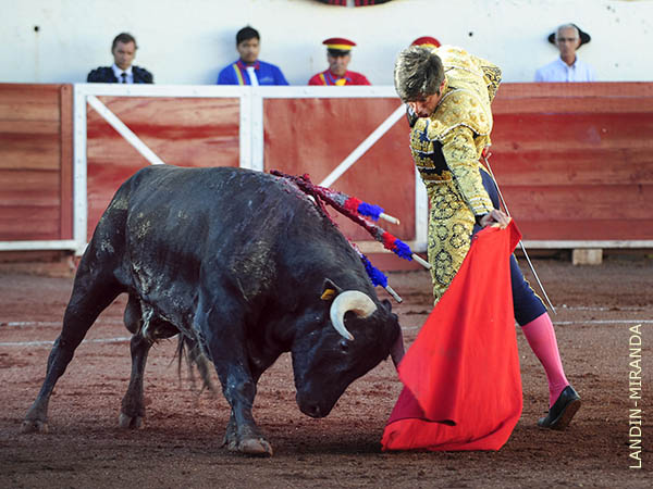 Calidad y nobleza del 