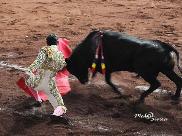 Inicio rodilla en tierra