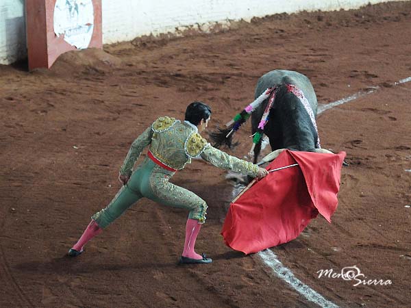 Hacindose del novillo