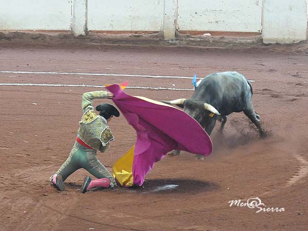 Csar Ruiz abre el festejo