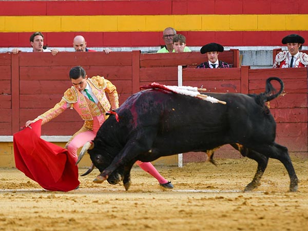 Hacindose del ejemplar