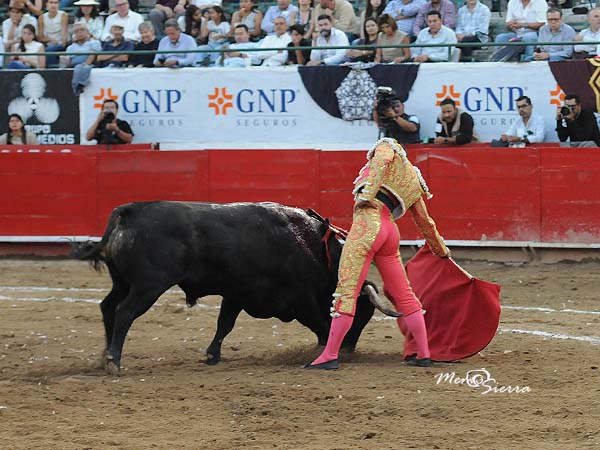 Templando por lo bajo