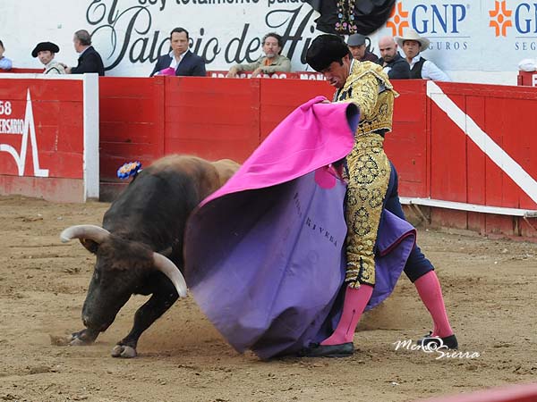 Mecidas vernicas de Fermn