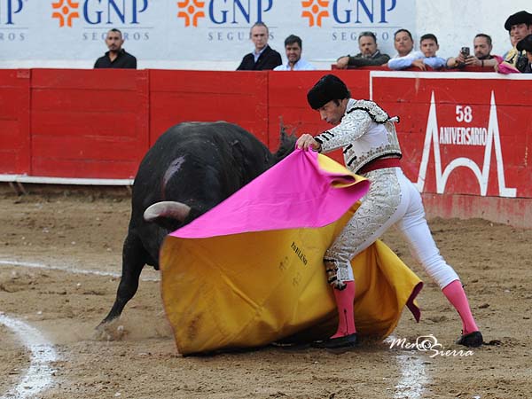 Saludo sobre las rayas