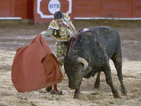 Mucho camino por recorrer