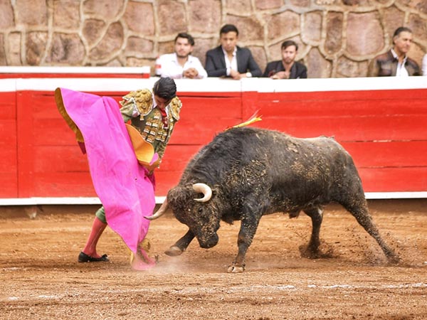 Hacindose del crdeno