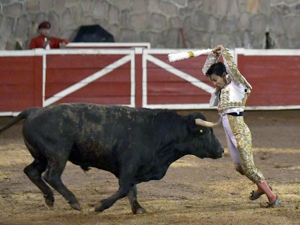 Espectacular en la cara del toro