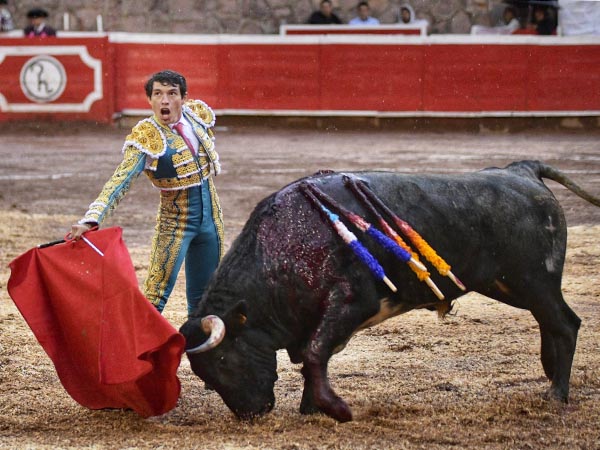 La mirada al tendido de sombra