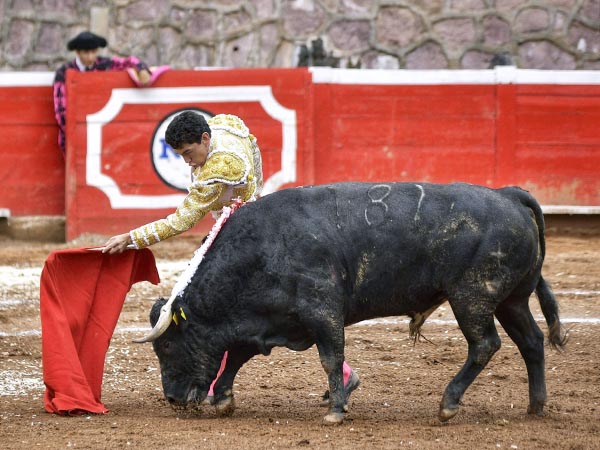 Nuevo matador de toros